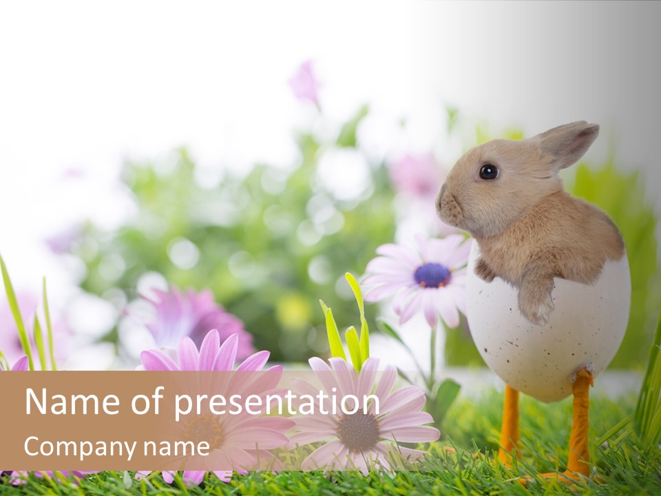 Blumen Freude Park PowerPoint Template