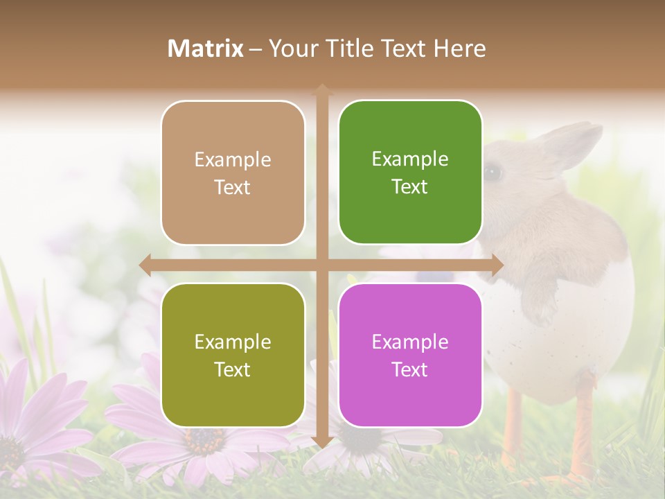 Blumen Freude Park PowerPoint Template