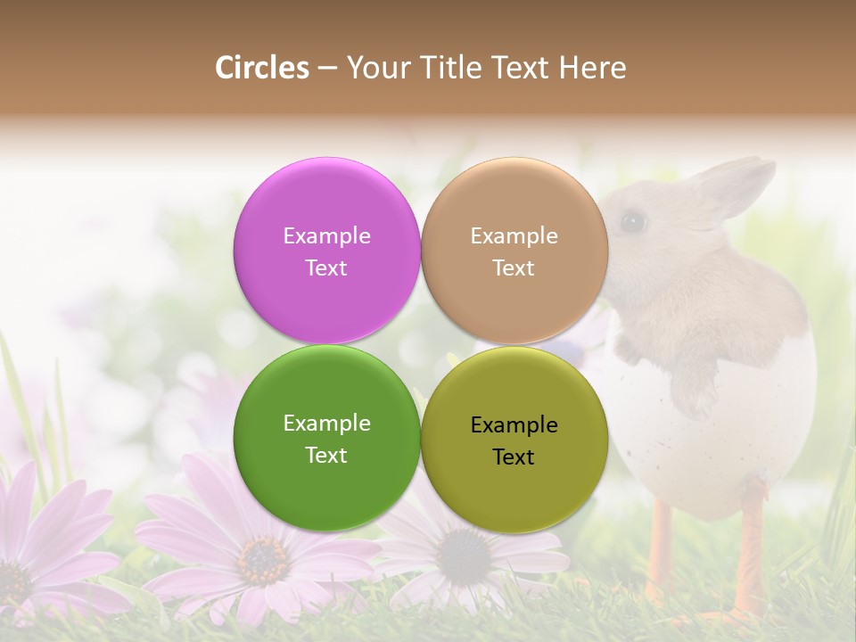 Blumen Freude Park PowerPoint Template