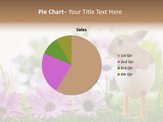 Blumen Freude Park PowerPoint Template