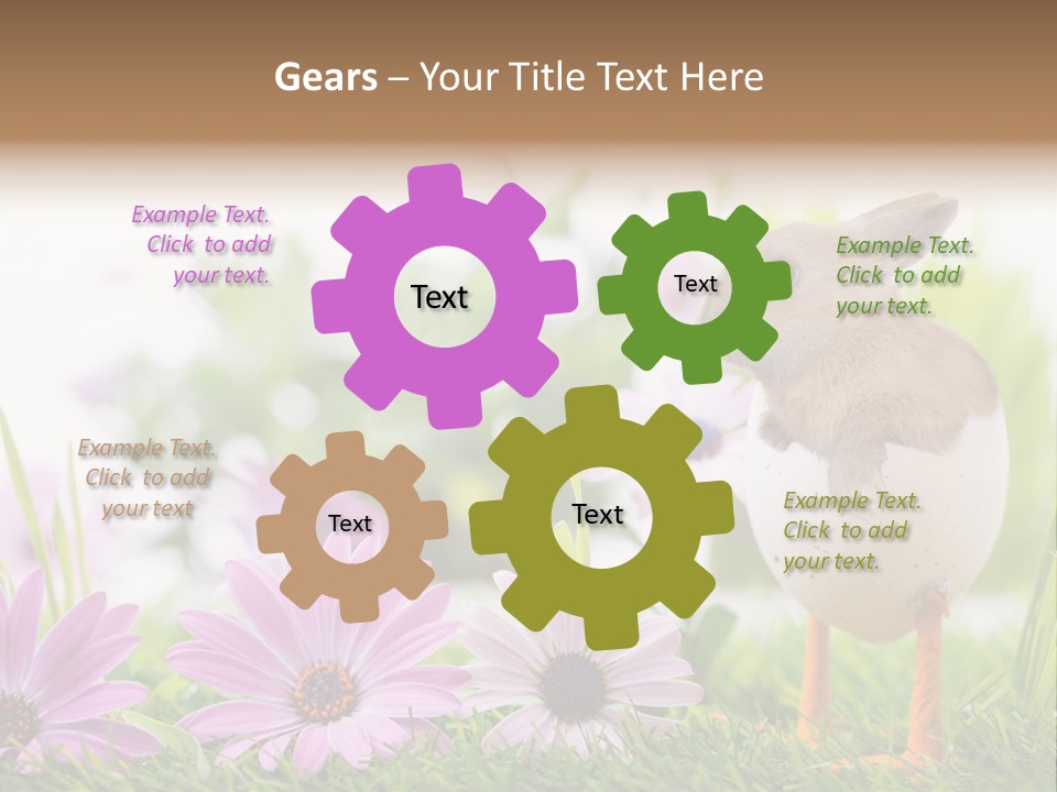 Blumen Freude Park PowerPoint Template