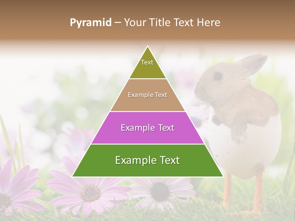 Blumen Freude Park PowerPoint Template