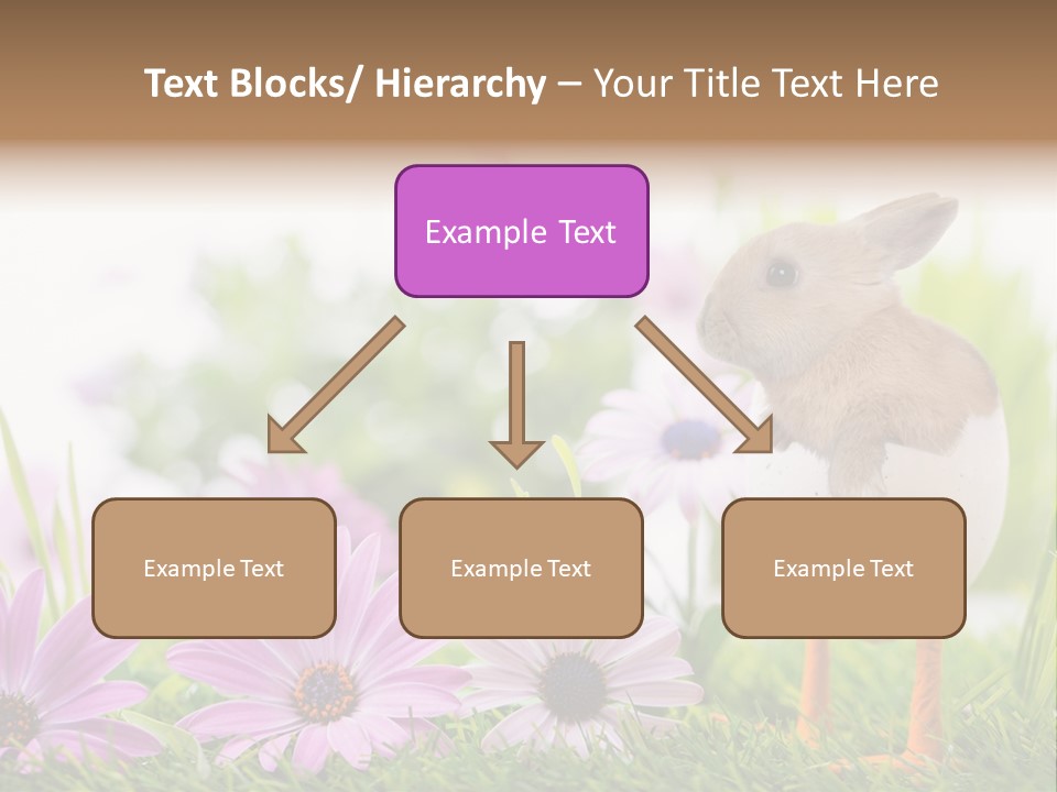 Blumen Freude Park PowerPoint Template