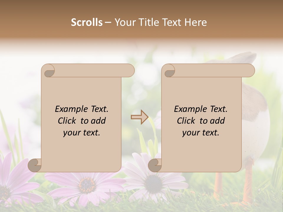 Blumen Freude Park PowerPoint Template