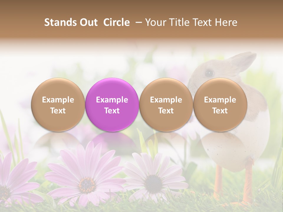 Blumen Freude Park PowerPoint Template