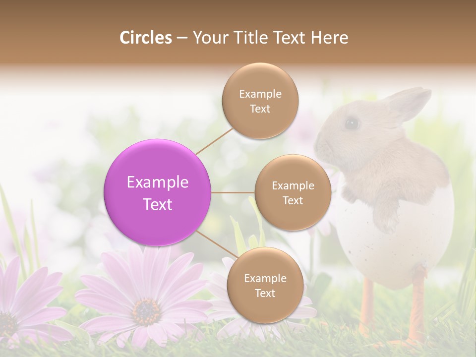 Blumen Freude Park PowerPoint Template