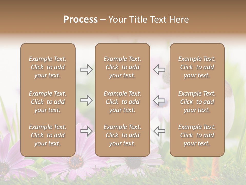 Blumen Freude Park PowerPoint Template
