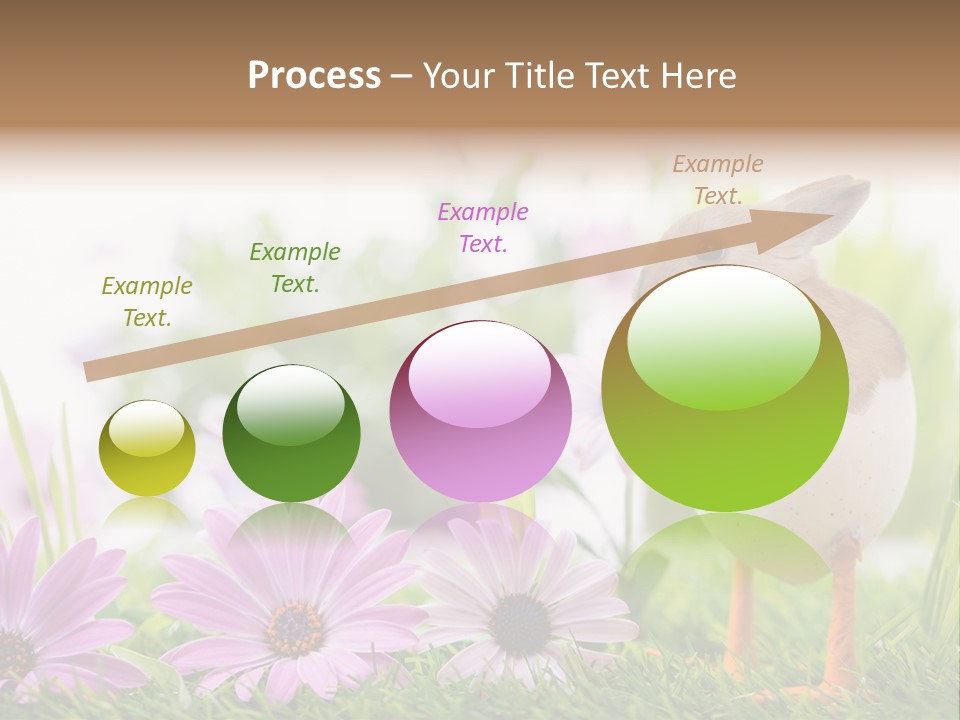 Blumen Freude Park PowerPoint Template