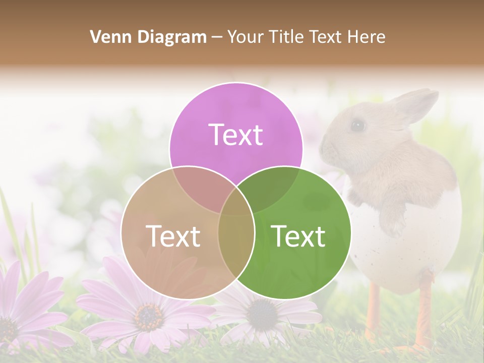 Blumen Freude Park PowerPoint Template