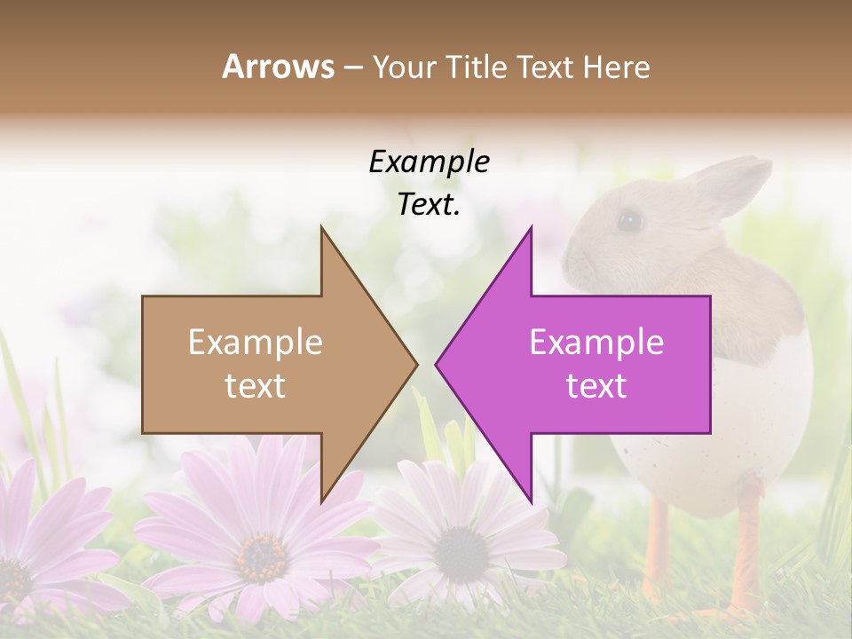 Blumen Freude Park PowerPoint Template