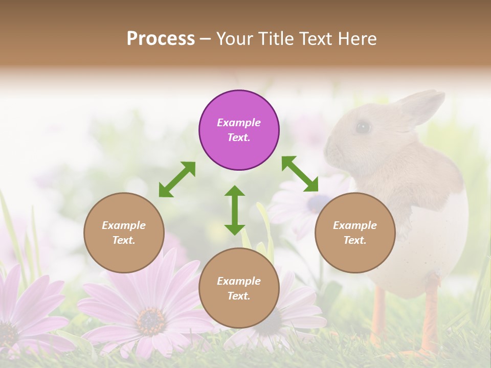Blumen Freude Park PowerPoint Template