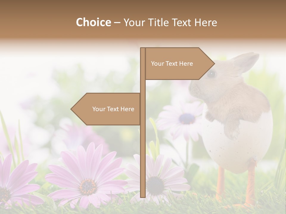 Blumen Freude Park PowerPoint Template