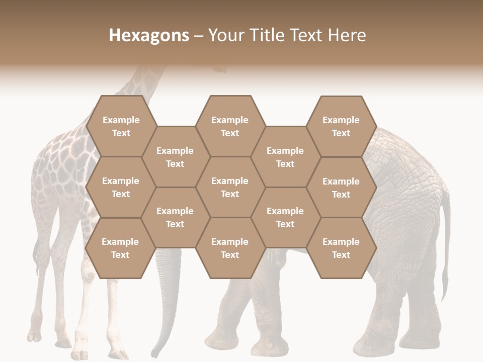 Slim African Nature PowerPoint Template