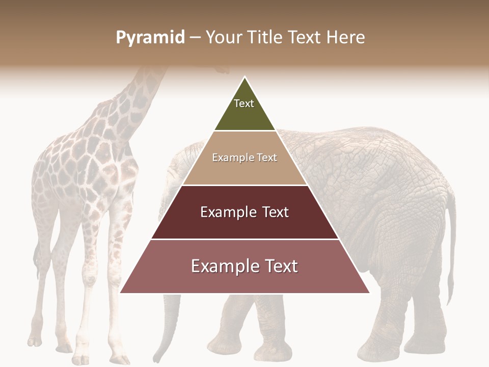 Slim African Nature PowerPoint Template