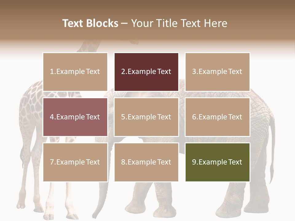 Slim African Nature PowerPoint Template