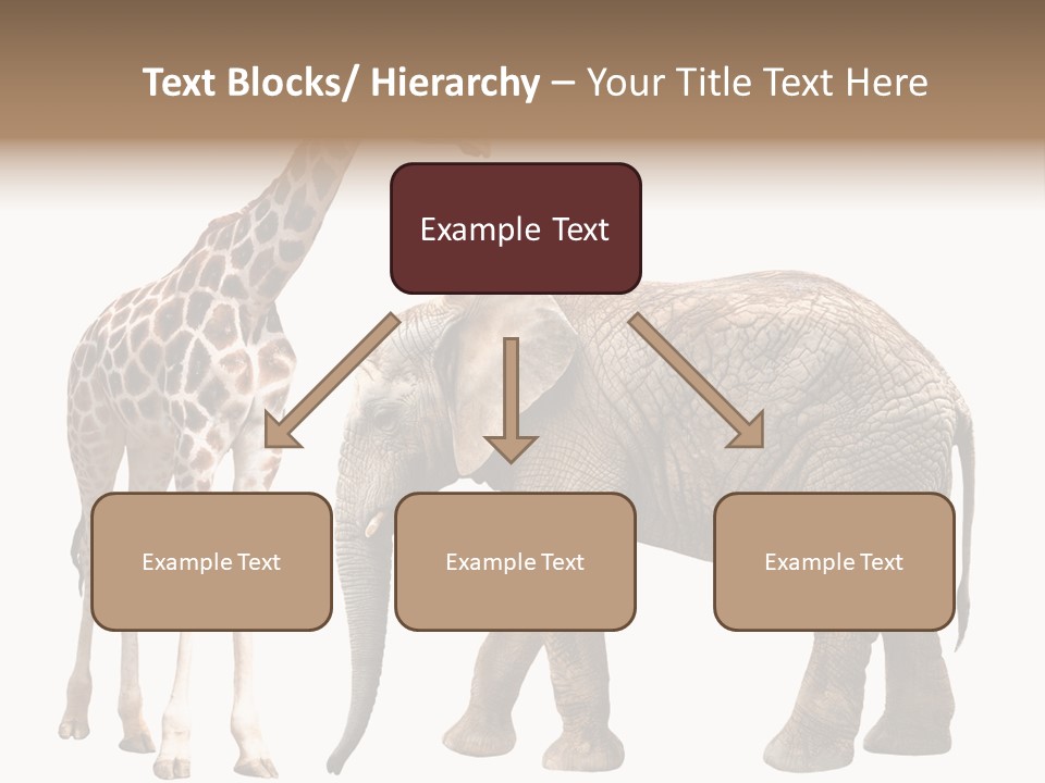Slim African Nature PowerPoint Template