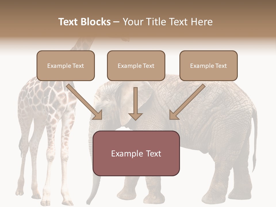 Slim African Nature PowerPoint Template