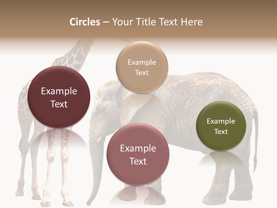 Slim African Nature PowerPoint Template