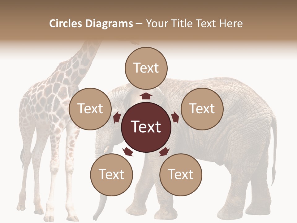 Slim African Nature PowerPoint Template