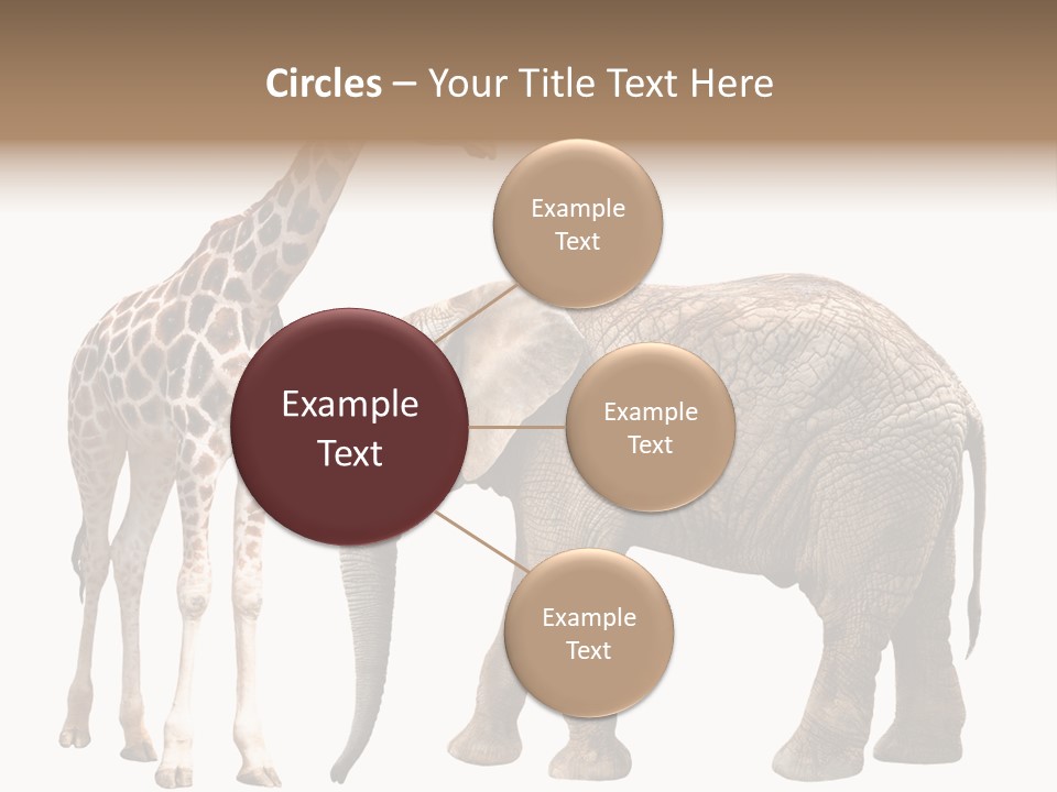 Slim African Nature PowerPoint Template