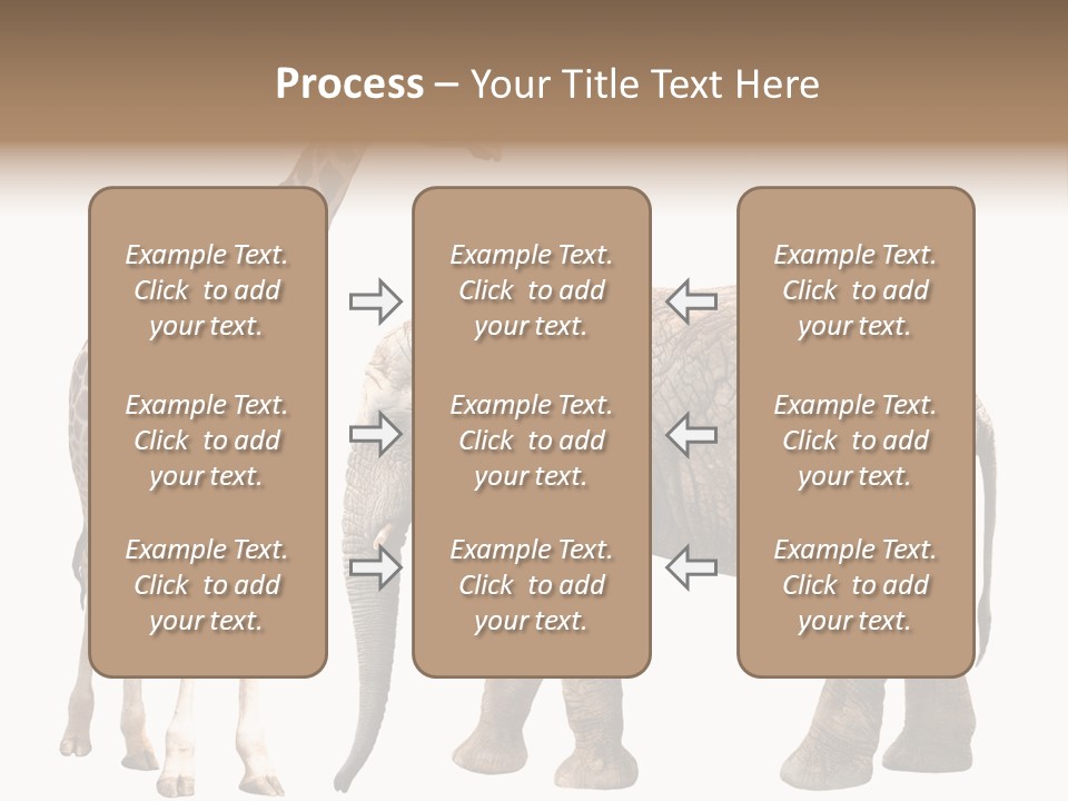 Slim African Nature PowerPoint Template