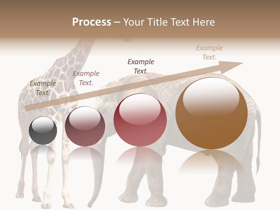 Slim African Nature PowerPoint Template