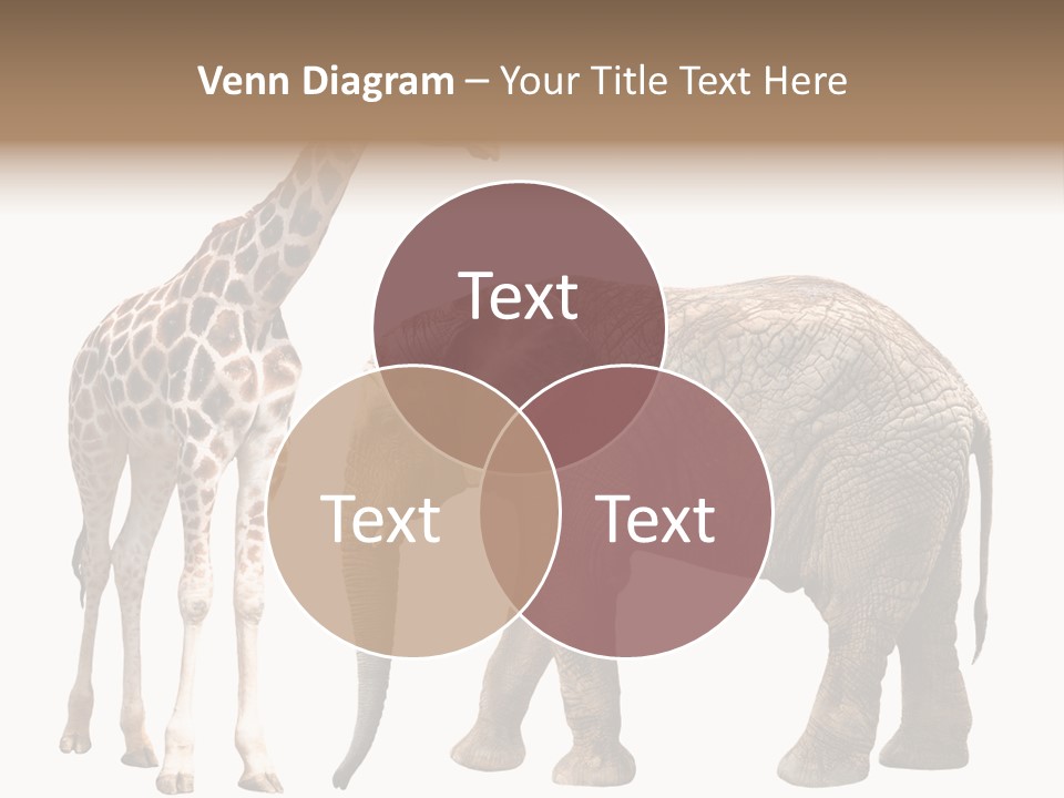 Slim African Nature PowerPoint Template