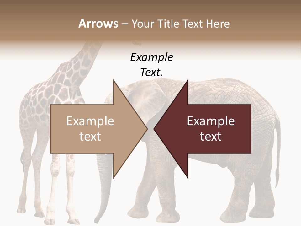 Slim African Nature PowerPoint Template