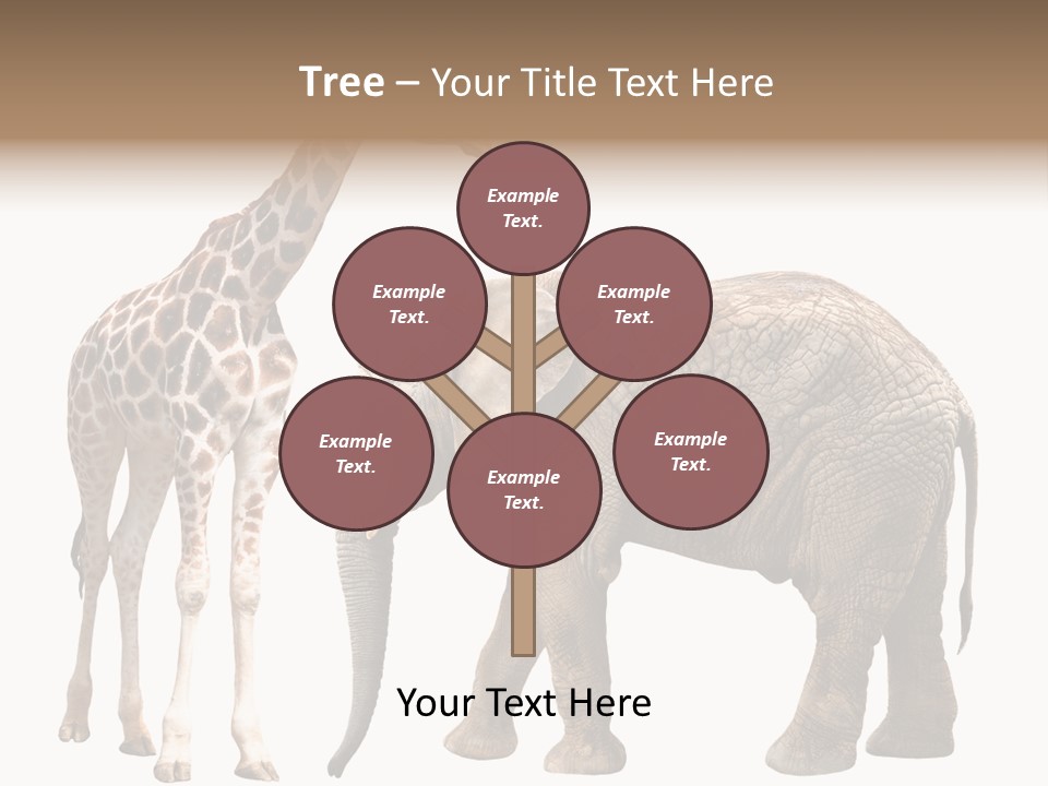 Slim African Nature PowerPoint Template