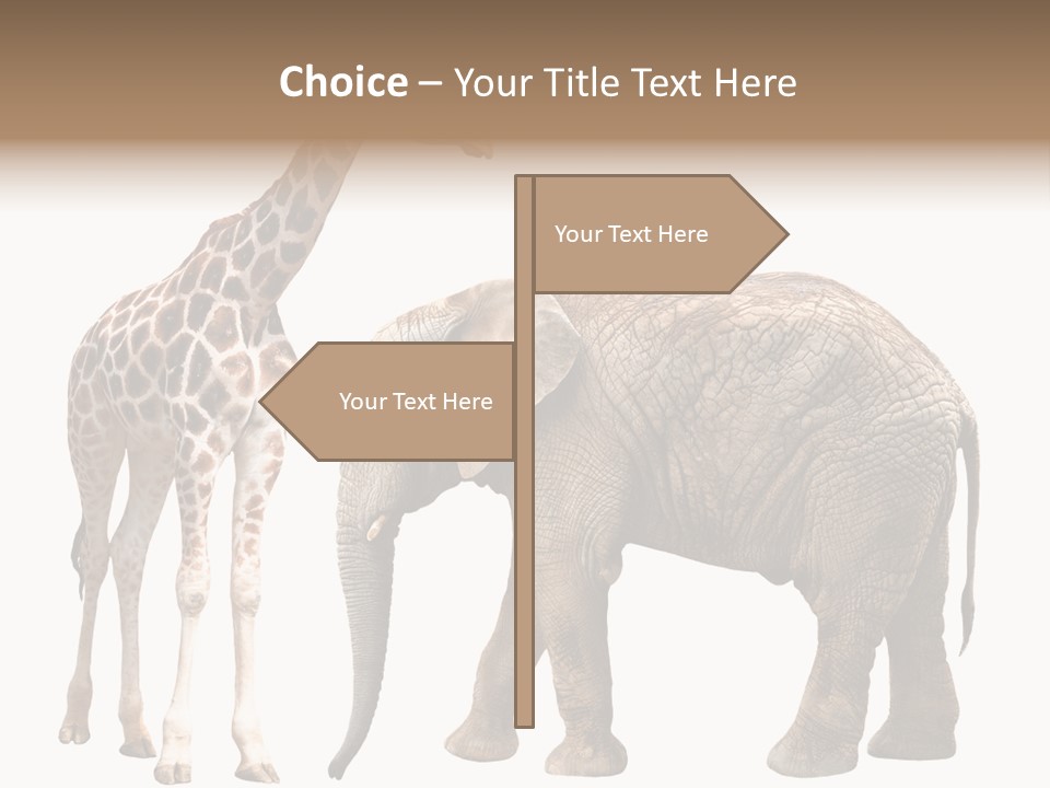 Slim African Nature PowerPoint Template