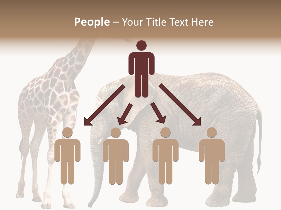 Slim African Nature PowerPoint Template