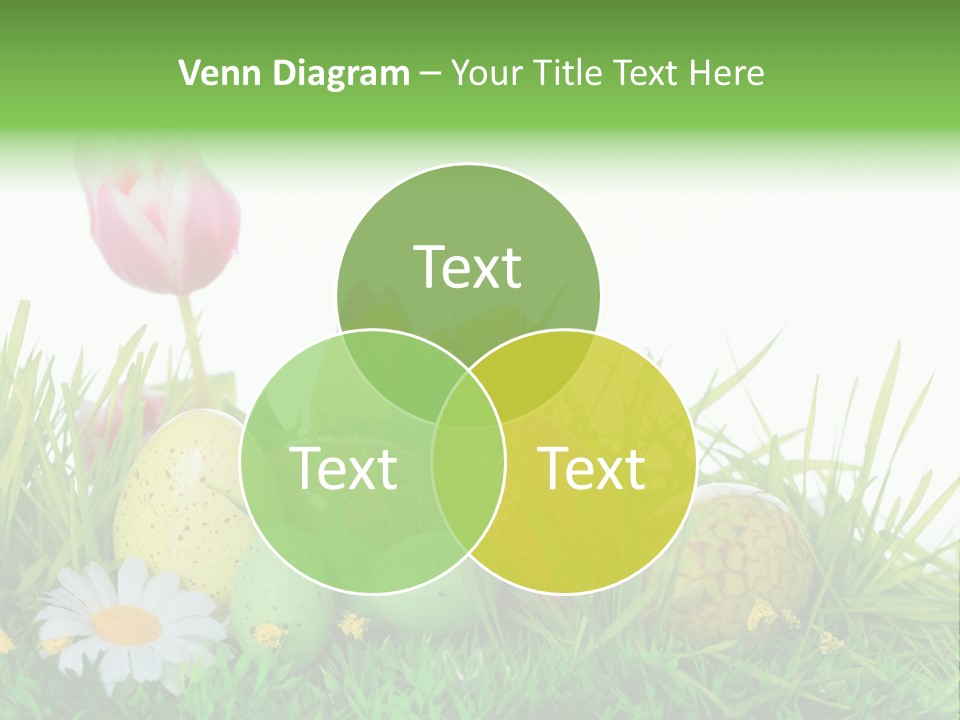 Ostereier F Lachen Osterfest PowerPoint Template