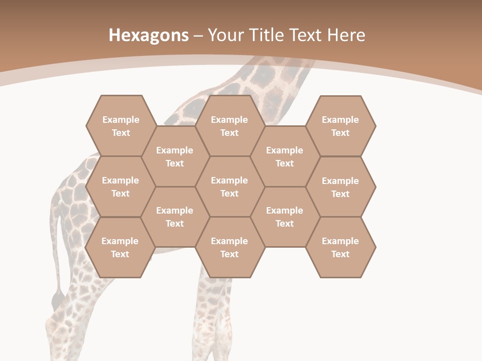 Plain Tropical Camouflage PowerPoint Template