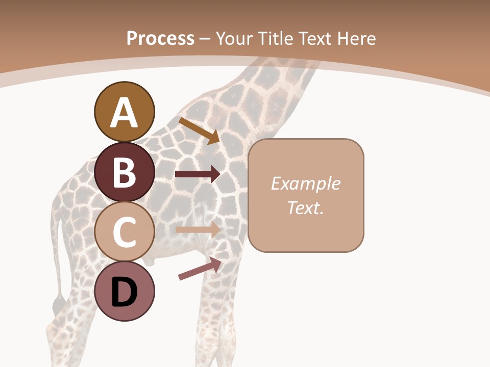 Plain Tropical Camouflage PowerPoint Template