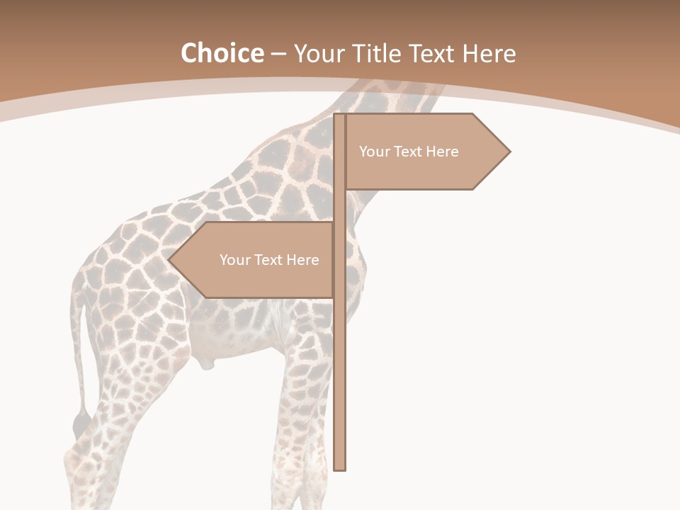 Plain Tropical Camouflage PowerPoint Template