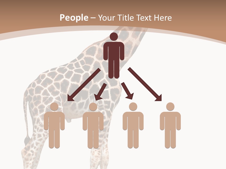 Plain Tropical Camouflage PowerPoint Template