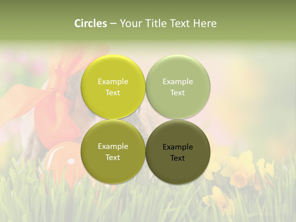 Hase Kinder Pelz PowerPoint Template