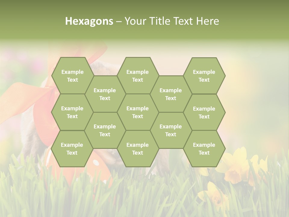 Hase Kinder Pelz PowerPoint Template