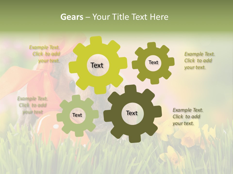 Hase Kinder Pelz PowerPoint Template