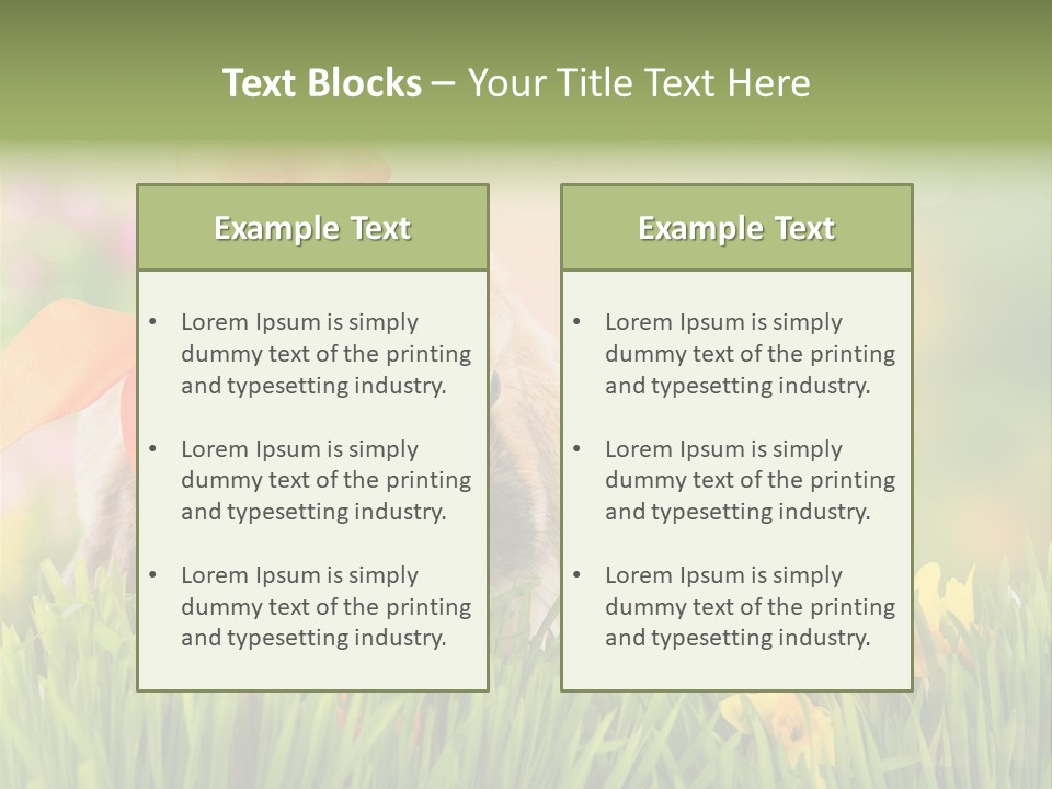 Hase Kinder Pelz PowerPoint Template