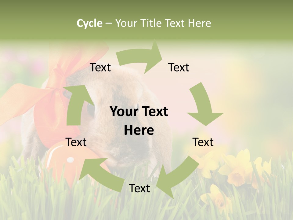 Hase Kinder Pelz PowerPoint Template