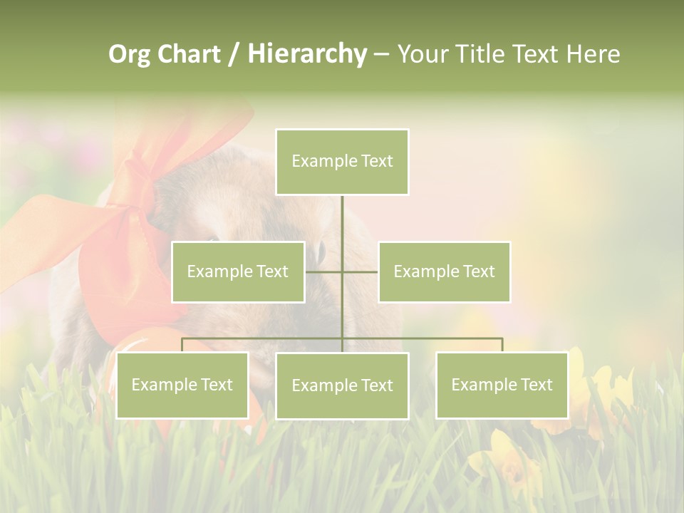 Hase Kinder Pelz PowerPoint Template