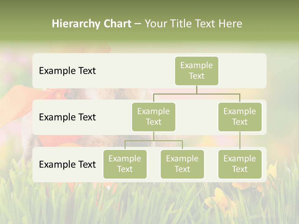 Hase Kinder Pelz PowerPoint Template