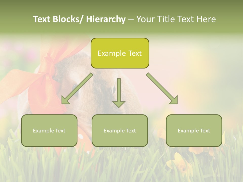 Hase Kinder Pelz PowerPoint Template