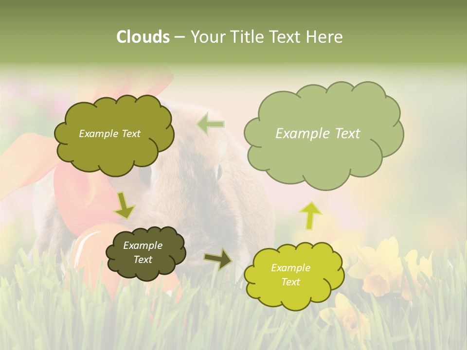 Hase Kinder Pelz PowerPoint Template