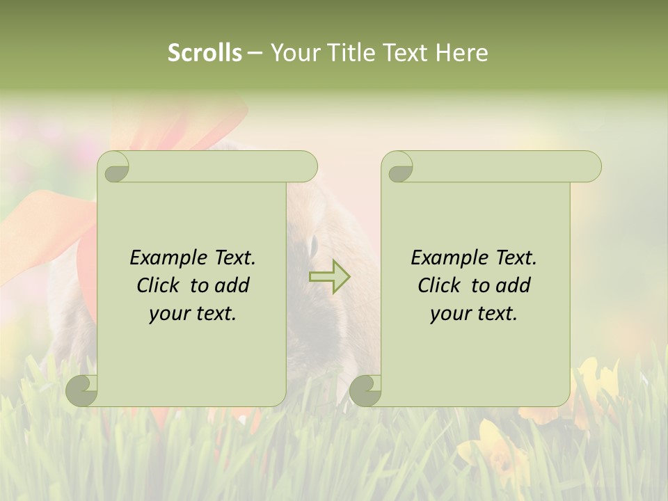 Hase Kinder Pelz PowerPoint Template