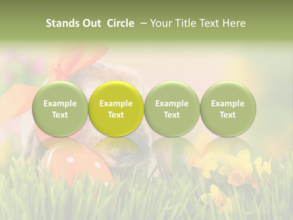 Hase Kinder Pelz PowerPoint Template