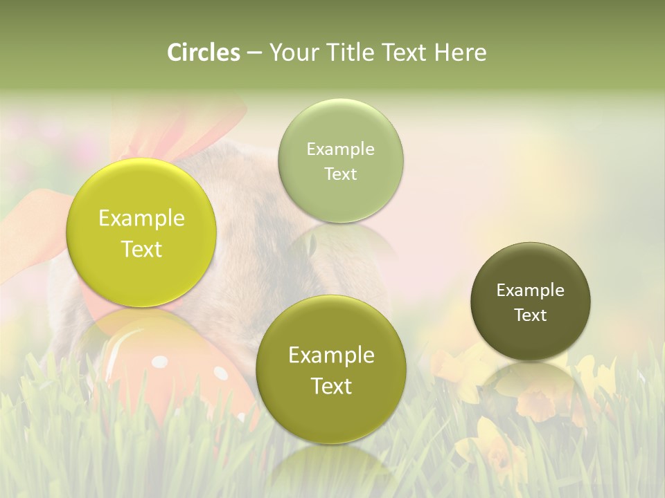 Hase Kinder Pelz PowerPoint Template