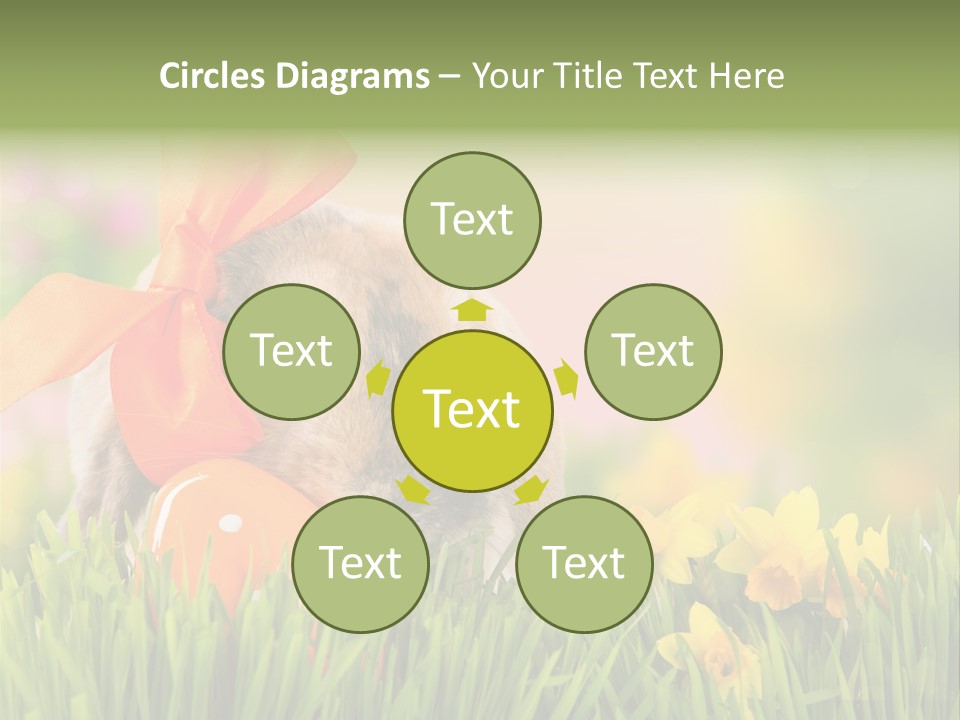 Hase Kinder Pelz PowerPoint Template