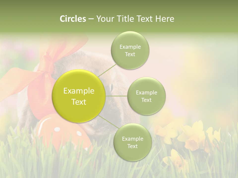 Hase Kinder Pelz PowerPoint Template